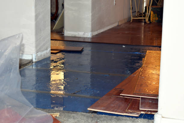 Professional Burst Pipe Cleanup technician working in Brentwood, MO